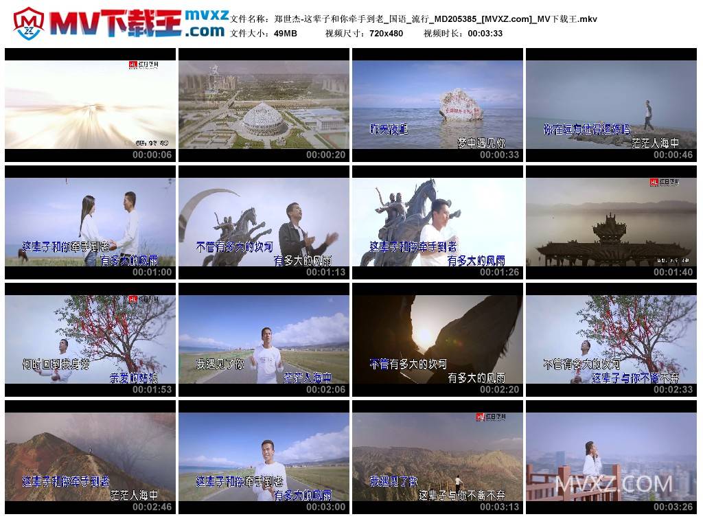 郑世杰-这辈子和你牵手到老_国语_流行_MD205385